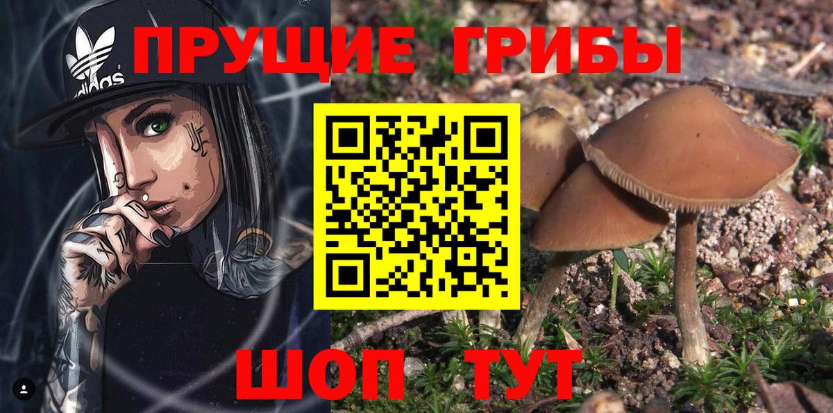 Галлюциногенные грибы мухоморы  Вход с VPN  Галлюциногенные грибы ЛСД  Кудымкар 